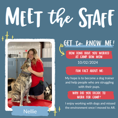 Nellie   Photo